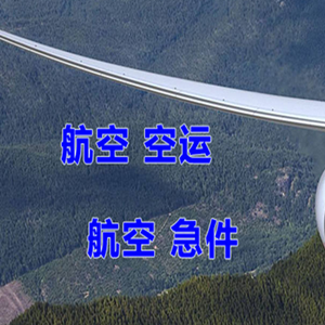 六盘水月照航空快递快递-选东方航空和上海航空