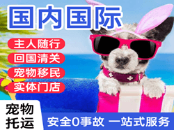 六盘水月照航空快递国际宠物托运 【国